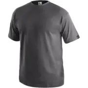 Koszulka t-shirt Daniel szary