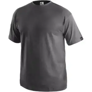 Koszulka t-shirt Daniel szary