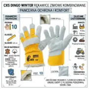 DINGO WINTER OCIEPLANE